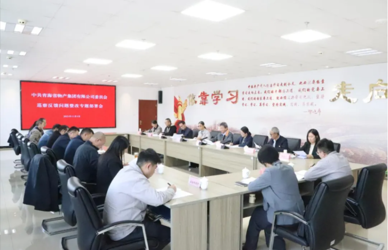 集團黨委召開巡察反饋問題整改專題部署會