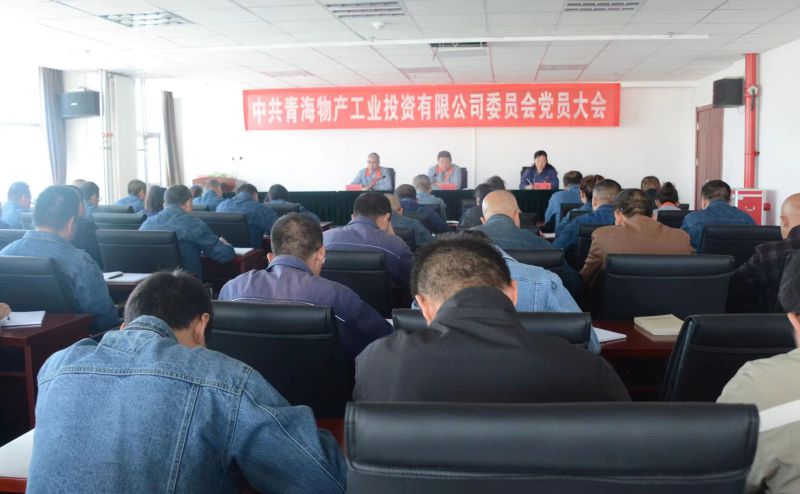 實干擔當拼搏趕超 為奪取新時代物產工投綠色低碳高質量發展新勝利不懈奮斗 &mdash;&mdash;物產工投公司黨委召開換屆選舉大會